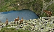 76 Femmine con da sfondo il Lago Moro